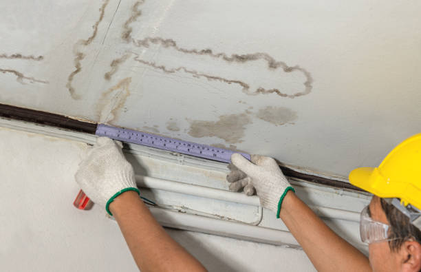 Reliable Basement Water Removal contractor in Colfax, LA by Water Damage Irwin